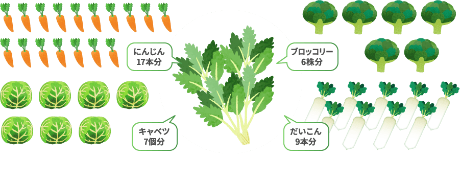 にんじん17本分 ブロッコリー6株分 キャベツ7個分 だいこん9本分