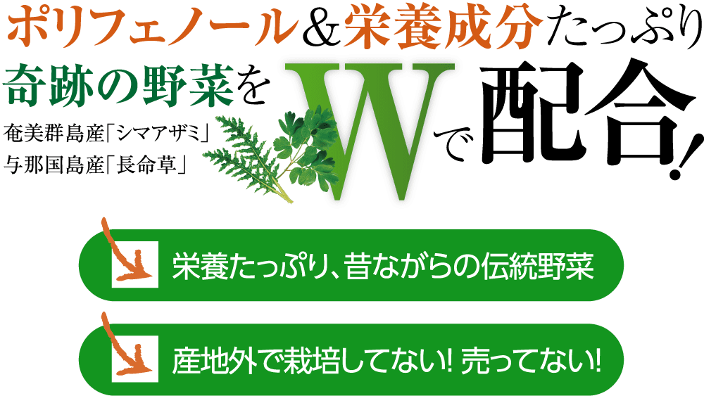 ポリフェノール＆栄養成分たっぷり奇跡の野菜を奄美群島産「シマアザミ」、与那国島産「長命草」 Wで配合 栄養たっぷり、昔ながらの薬草 産地外で栽培してない! 売ってない!