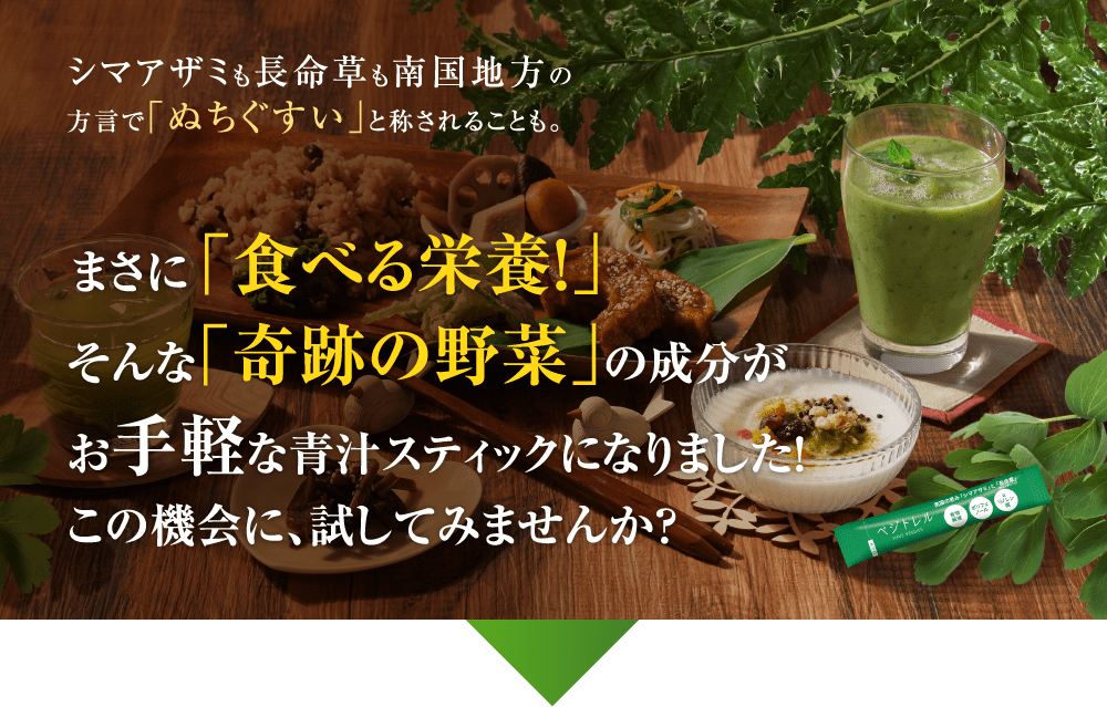 シマアザミも長命草も「ぬちぐすり（命薬）」として南国地方で利用されてきた歴史をもちます まさに「食べる栄養!」そんな「奇跡の野菜」の成分が、お手軽な青汁スティックになりました！この機会に、試してみませんか？