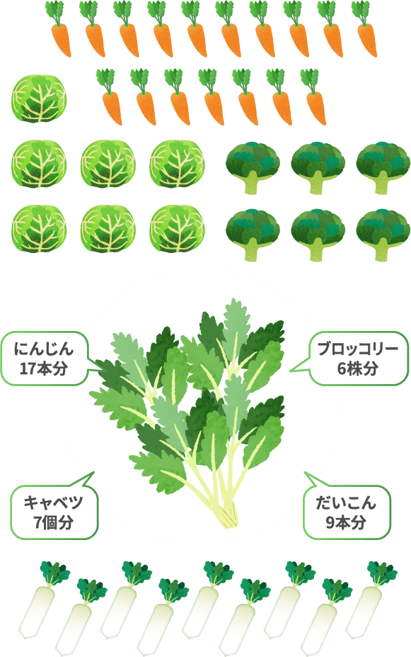 にんじん17本分 ブロッコリー6株分 キャベツ7個分 だいこん9本分