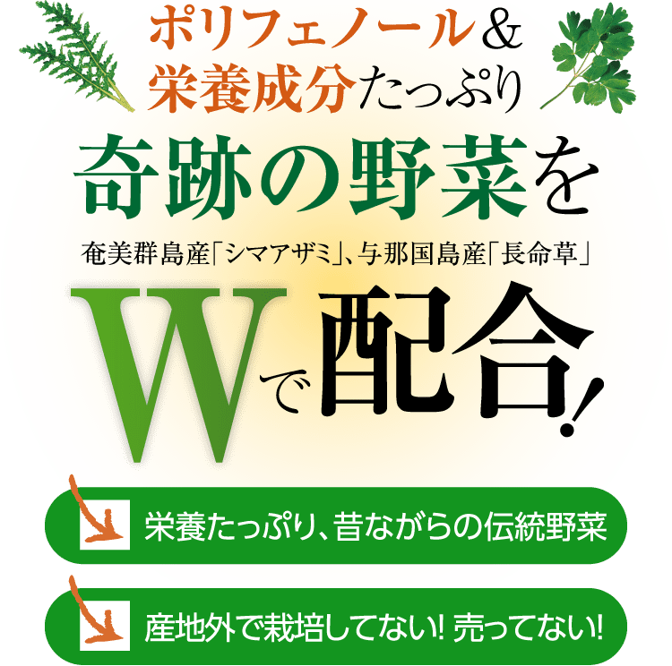 ポリフェノール＆栄養成分たっぷり奇跡の野菜を奄美群島産「シマアザミ」、与那国島産「長命草」 Wで配合 栄養たっぷり、昔ながらの薬草 産地外で栽培してない! 売ってない!